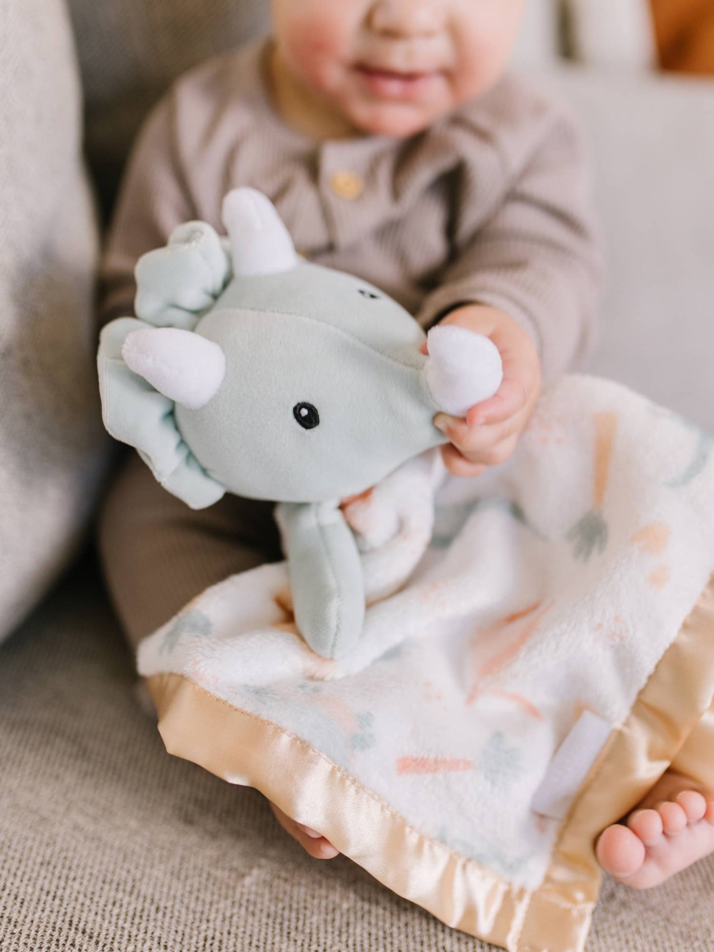 Security Blanket Roarsome