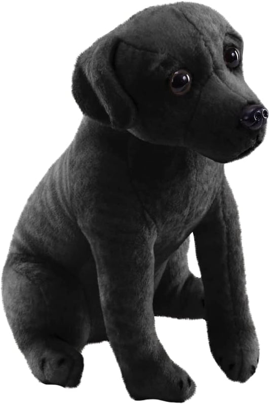 Black Labrador