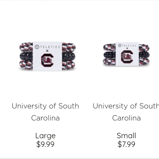 University Of South Carolina